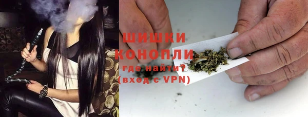 молекула духа Козловка