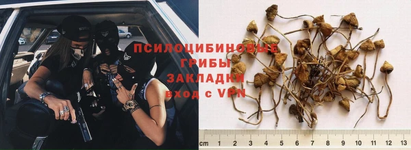 МДМА Арсеньев
